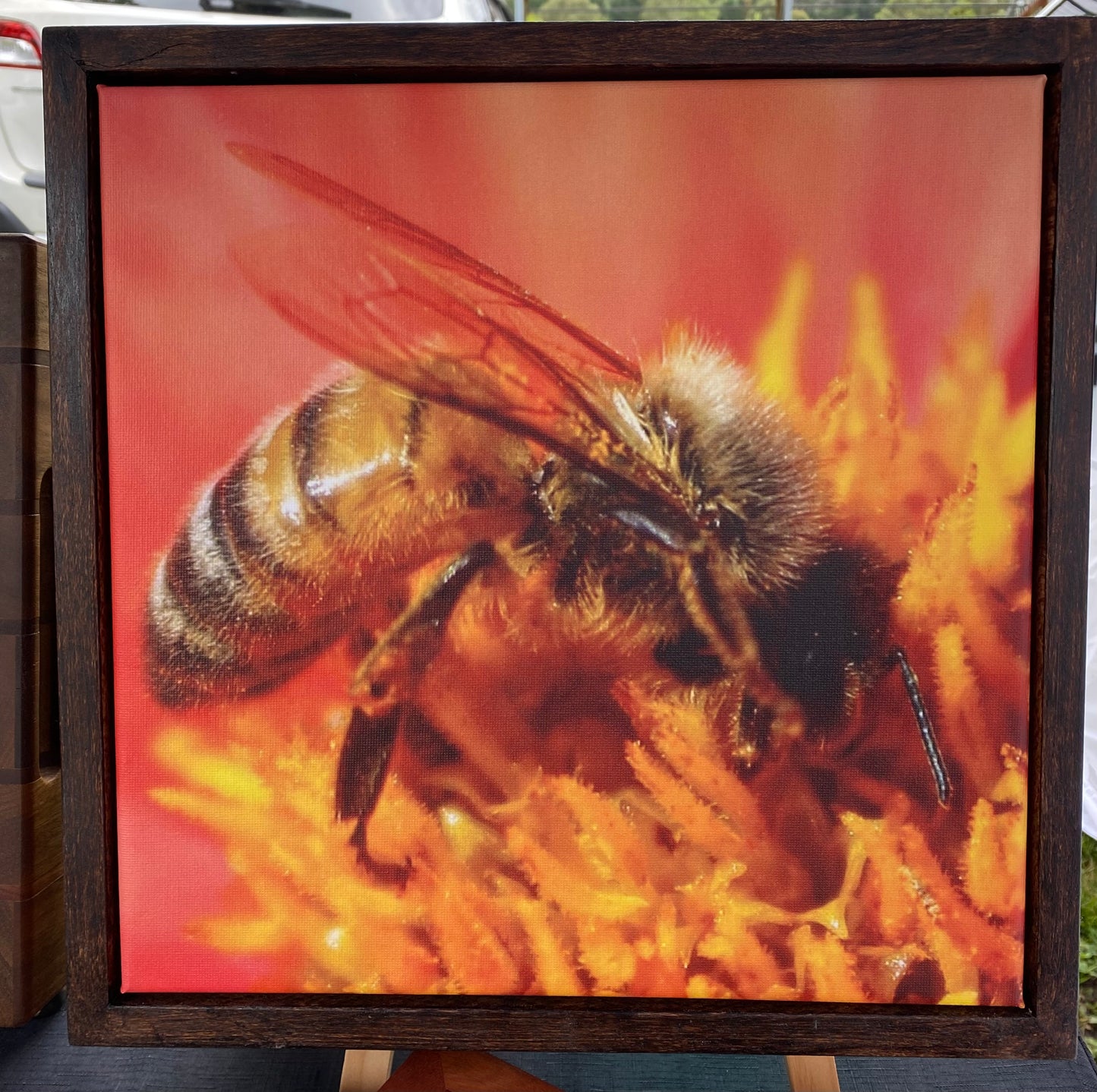 Original Photograph on Canvas - Bee on Dahlia